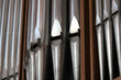organ