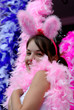 lapin rose lapin rose