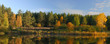 russian forest