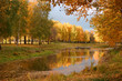 russian forest
