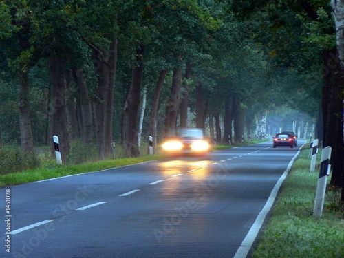 abendliche allee in norddeutschland