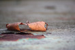 herbstblatt