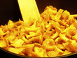 chanterelles chanterelles