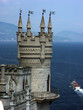 swallow's nest