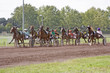 course de chevaux