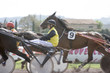 course de chevaux