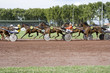 course de chevaux