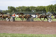 course de chevaux course de chevaux