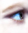 auge