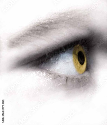 auge