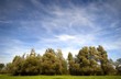 green landscape with blue sky green landscape with blue sky