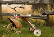 rustic tricycle