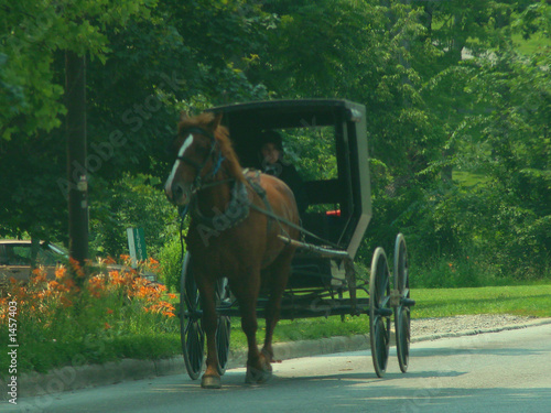 Photo: woman in a wagon woman in a wagon
