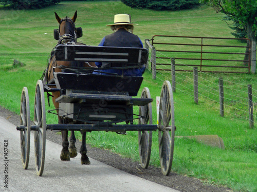 Photo: man driving wagon man driving wagon