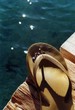flip flop auf reisen