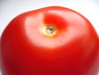 tomate