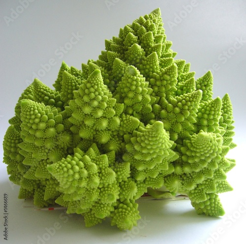 romanesco romanesco