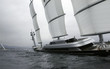 maltese falcon