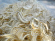 blonde wig blonde wig