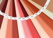 color guide closeup