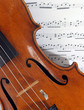 Quadro antique italian violin Quadro antique italian violin