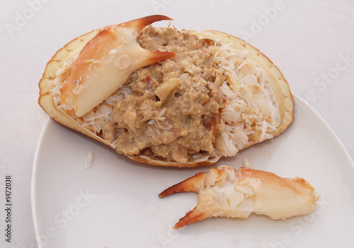 Dressed crab