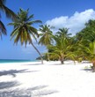 karibik, insel saona (4)