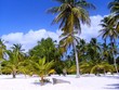 karibik, insel saona (3) karibik, insel saona (3)