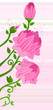 lotuses