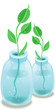 green leaves in jars