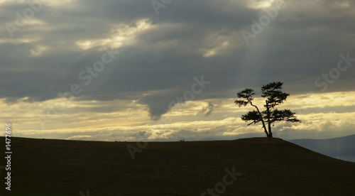 Photo: edge of the world edge of the world