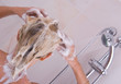 Photo: shampoo time shampoo time