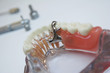 teeth and tools