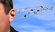 listening to music listening to music