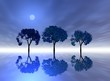 moonlight. trees
