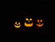  what a bunch of pumkins