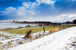 winter field
