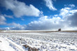 winter meadow