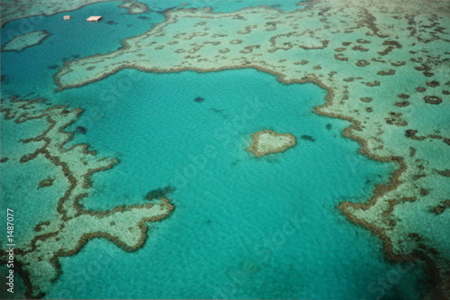 Photo: heart reef heart reef