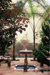 jardin riad