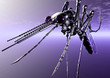cybernetic bug