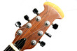 head guitar