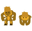 two monkies
