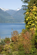 furry lake, vancvouver 3