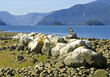furry lake, vancouver, bc