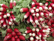 radishes