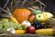 autumn fruit 4