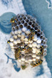 wasp nest