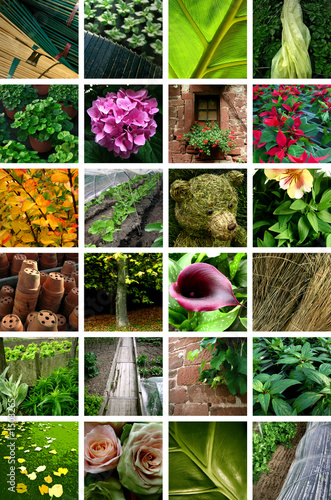 jardinage
