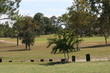 golf course